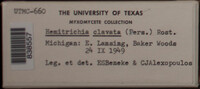 Image Associated With the Occurence
